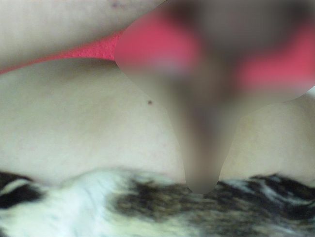 NadineCays Porno Video: Teeny fo**e gefi**t & auf den Wolle gespri**t - Reine fi** Perspektieve POV